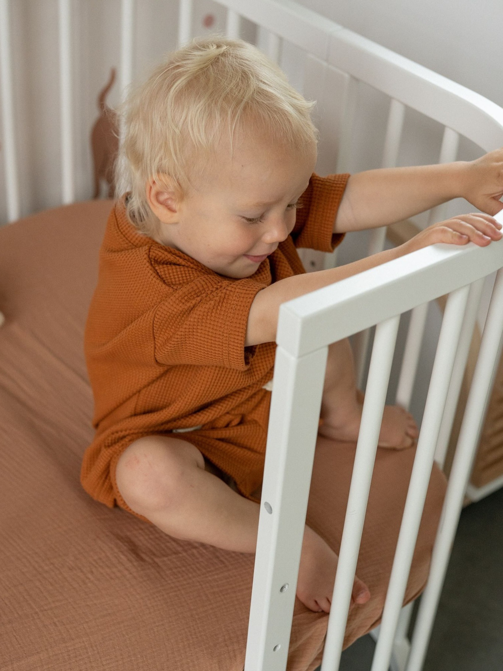 Amber Waffle Ease Set